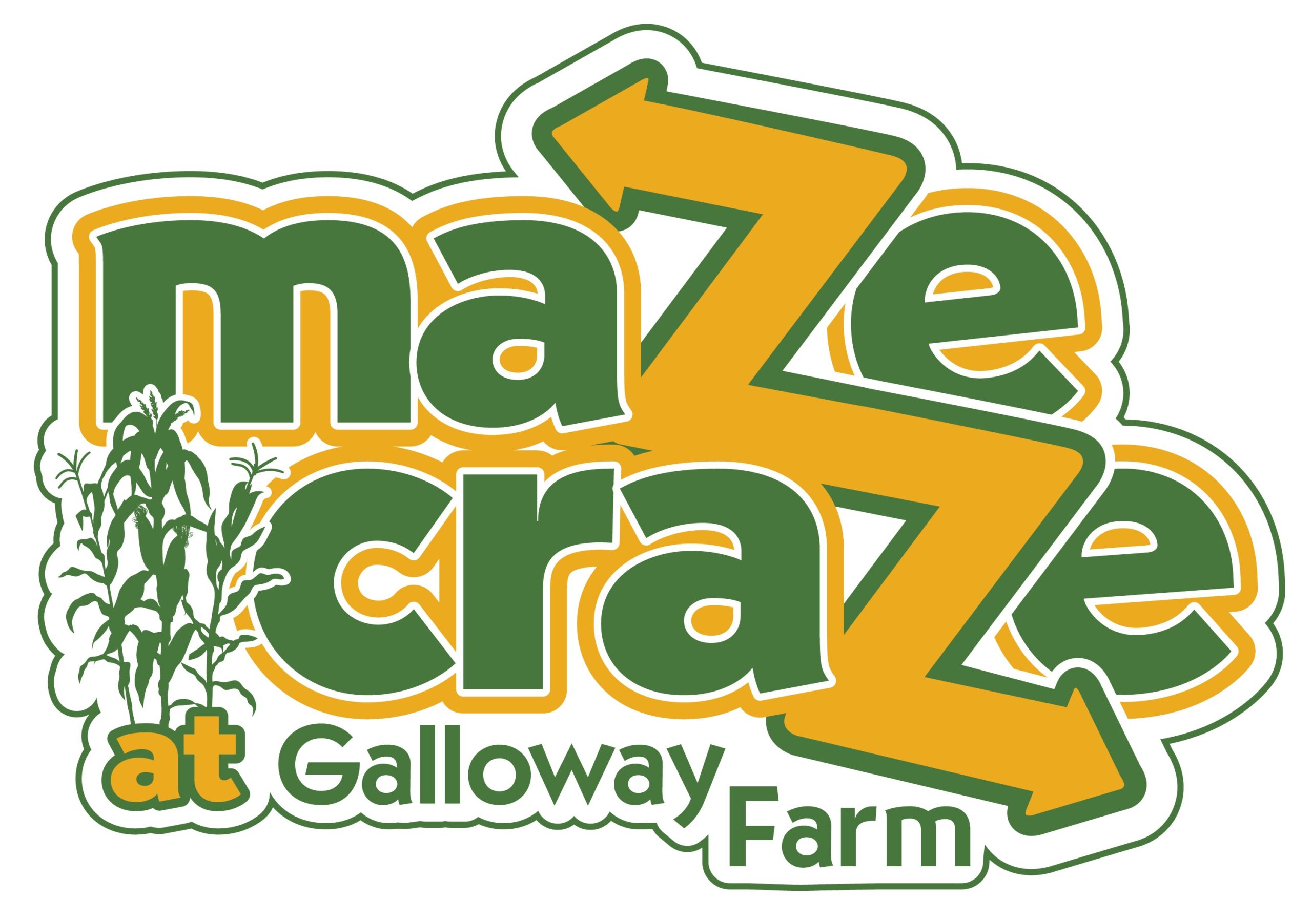 Maze Craze at Galloway Farm